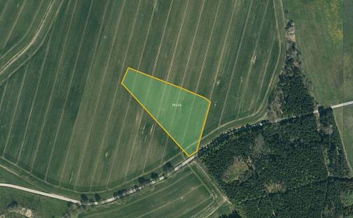 Prodej pole 5 469 m², Načeradec - Olešná, okres Benešov