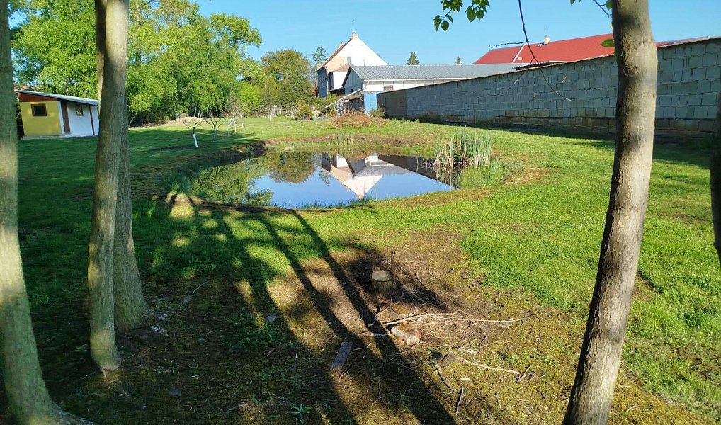 Prodej stavebního pozemku 3 916 m², Otvice – fotka 1 z 4