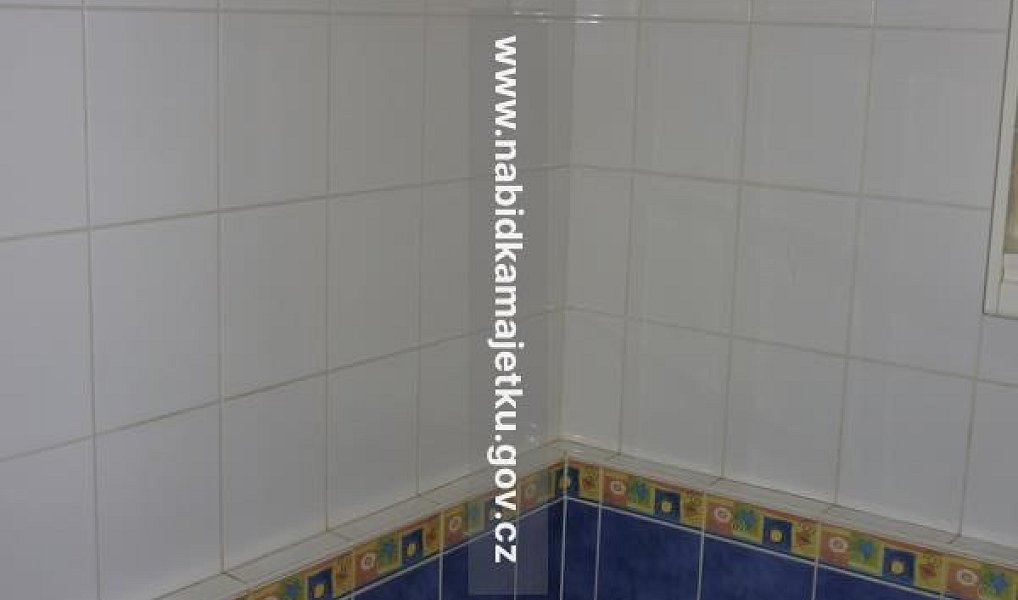 Pronájem bytu 1+kk 31 m², České Budějovice – náhled fotky 3