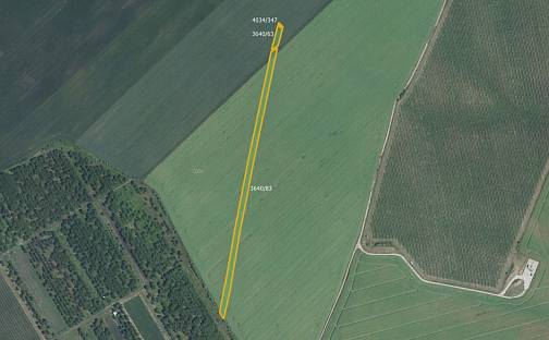 Prodej pole 3 169 m², Čejkovice, okres Hodonín