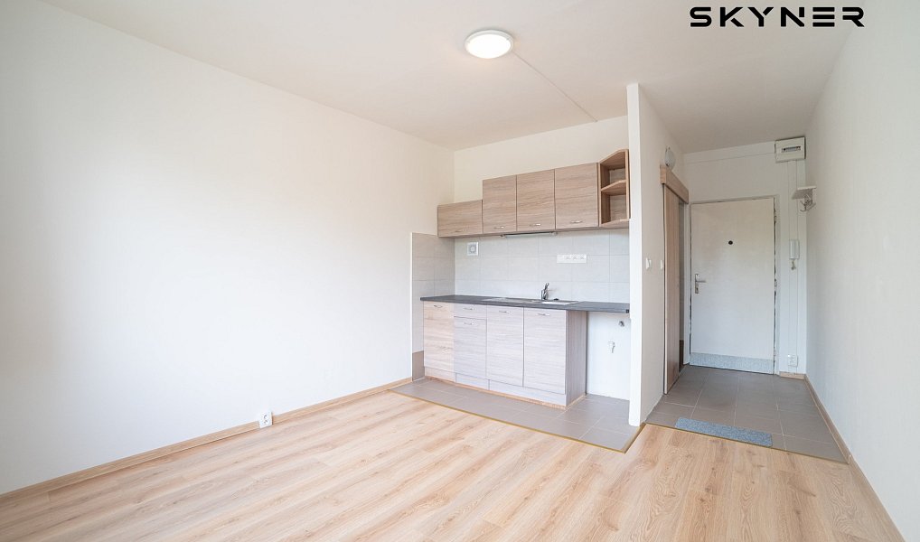 Pronájem bytu 1+kk 19 m², Ústí nad Labem – náhled fotky 2