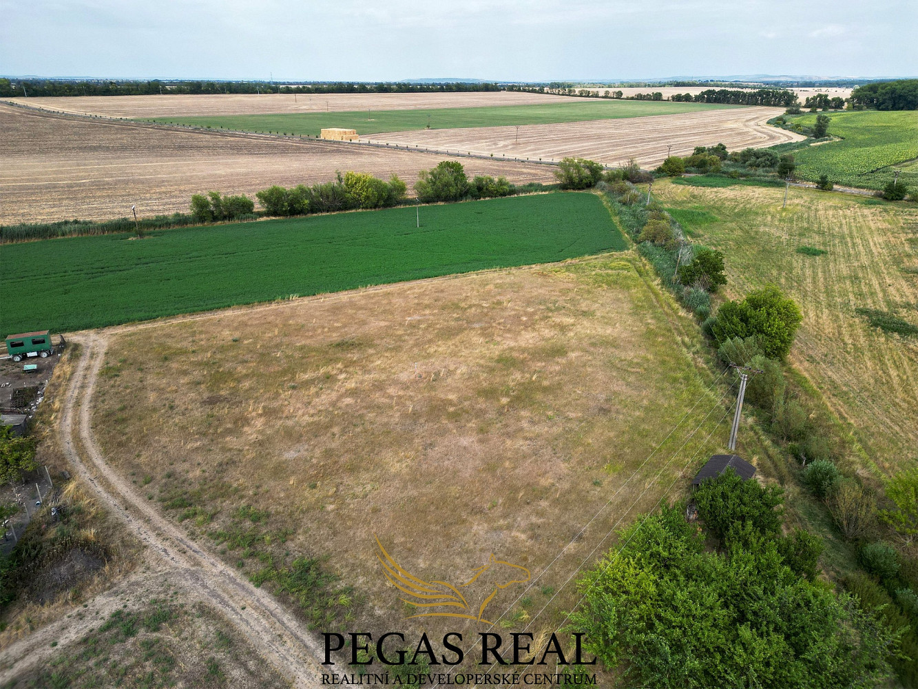 Prodej pole 4 688 m² – fotografie 3