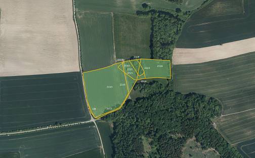 Prodej pole 15 398 m², Očelice, okres Rychnov nad Kněžnou