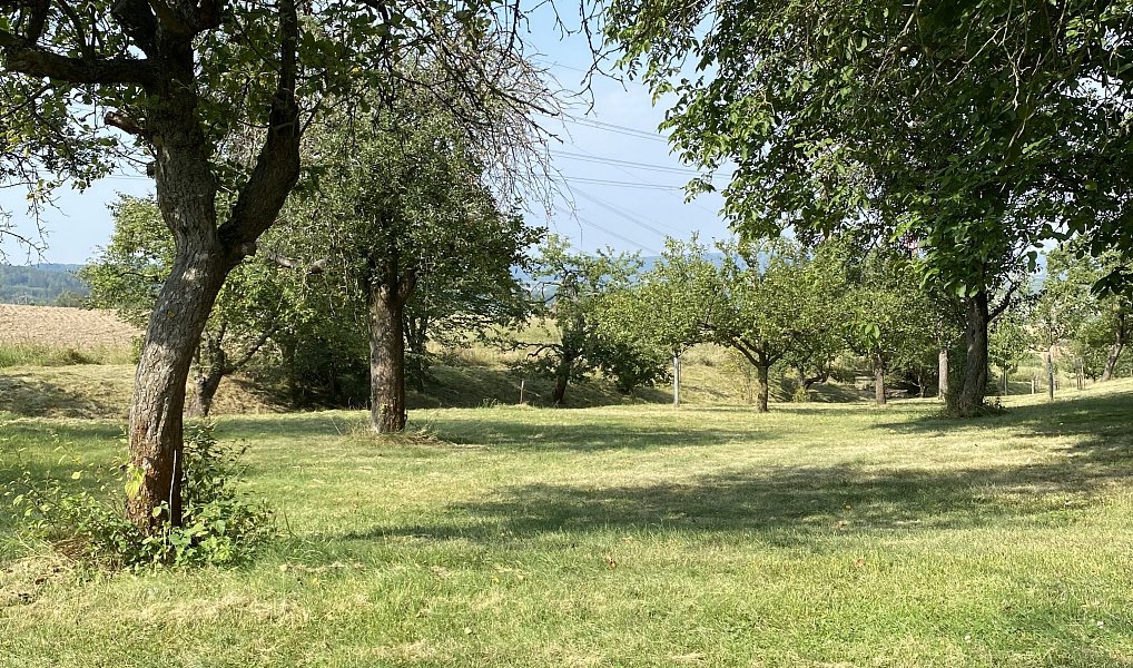 Prodej stavebního pozemku 3 359 m², Petrovice – náhled fotky 2
