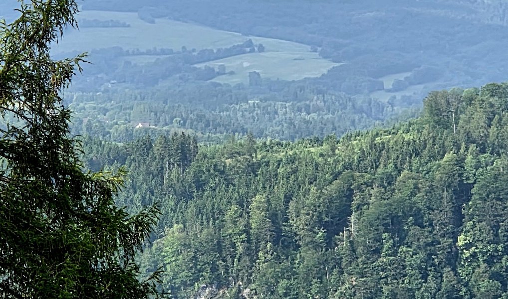 Prodej louky 10 451 m², Vlastiboř – náhled fotky 12