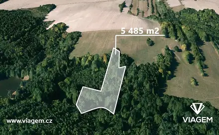 Prodej lesa 5 485 m², Těškovice, okres Opava