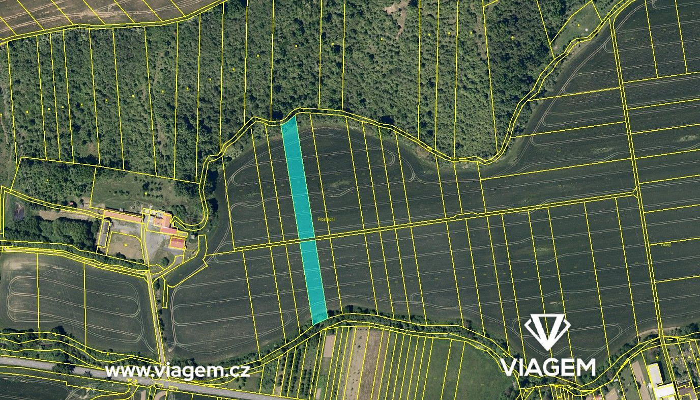 Prodej pole 4 717 m² – fotografie 2