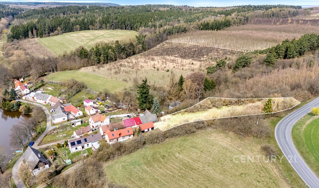 Prodej stavebního pozemku 3 207 m², Všesulov – náhled fotky 6