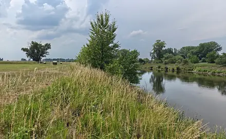 Prodej zahrady 800 m², Zálezlice, okres Mělník