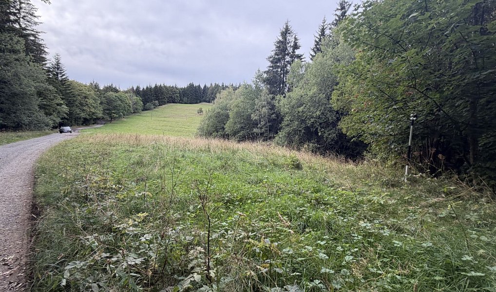 Prodej pozemku 1 194 m², Hutisko-Solanec – náhled fotky 6