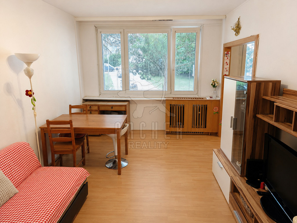 Prodej bytu 3+1 59 m² — photo 3