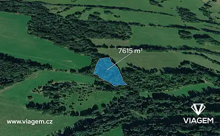 Prodej lesa 2 538 m², Heřmanov, okres Děčín