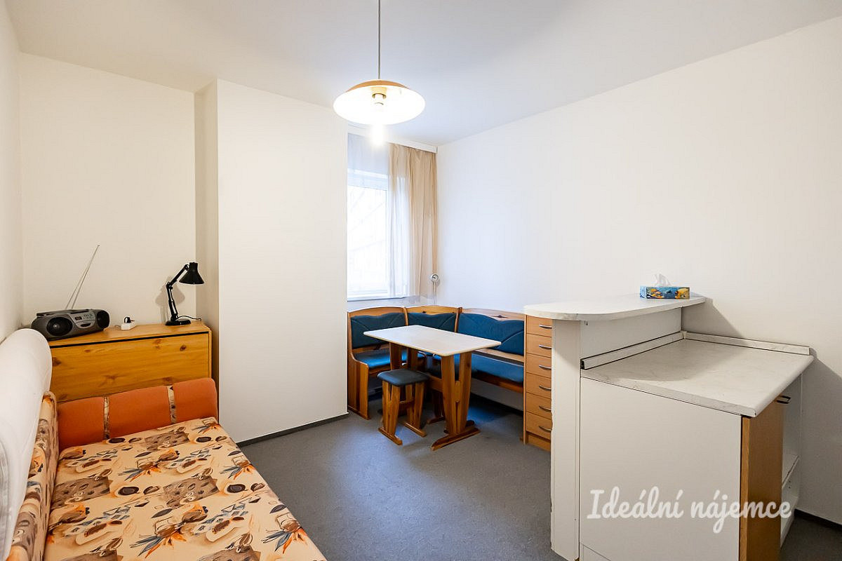 Pronájem bytu 1+1 39 m² – fotografie 3