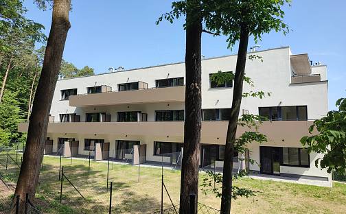 Pronájem bytu 1+1 43 m², Kleštínek, Brno - Jehnice