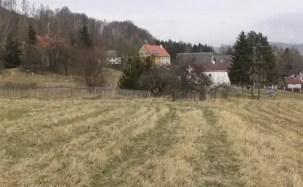 Dražba louky 939 m², Homole u Panny