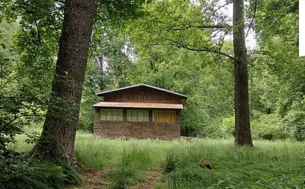 Prodej chaty/chalupy 60 m² s pozemkem 205 m², Odrava - Mostov, okres Cheb