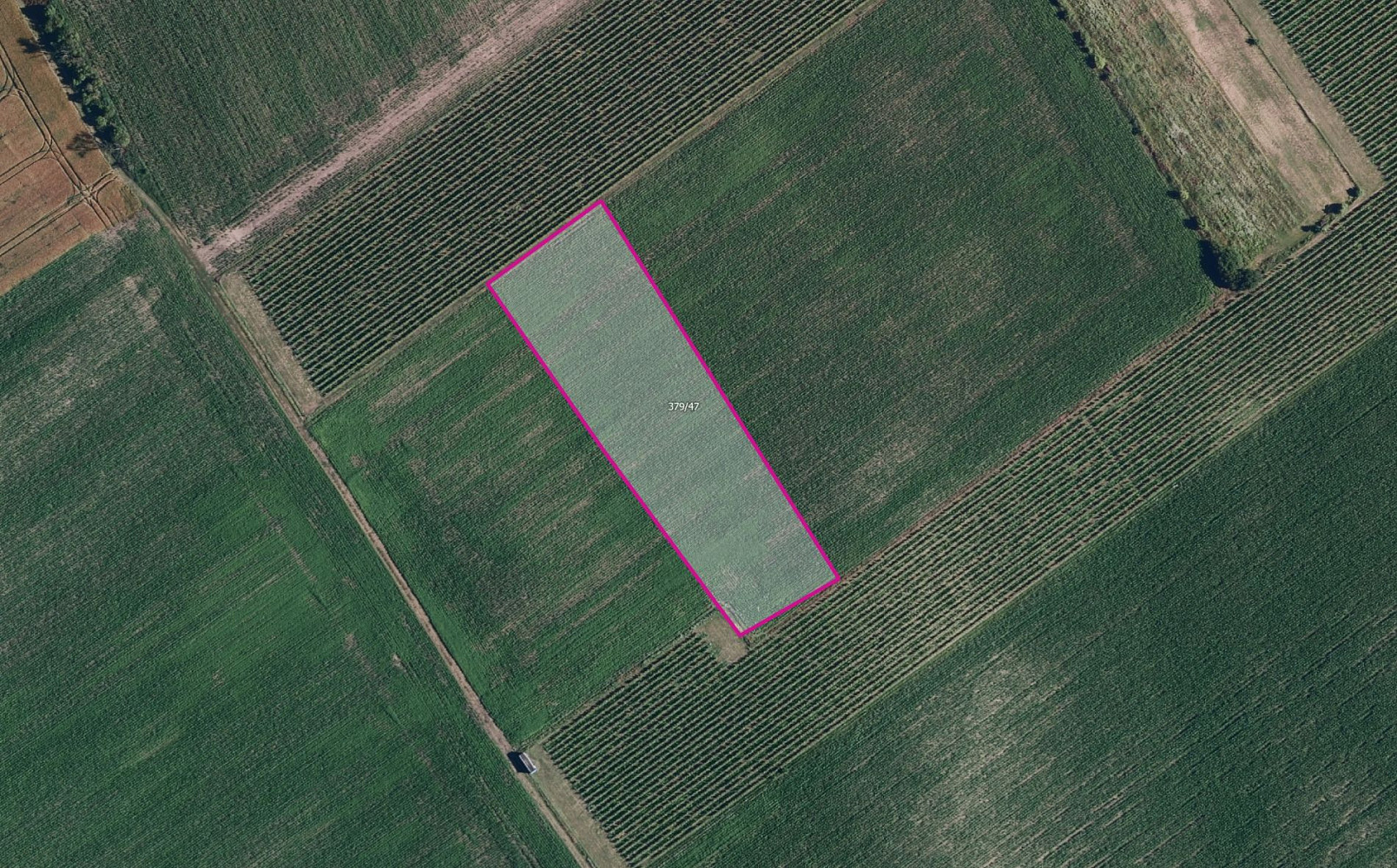 Prodej pole 6 317 m²