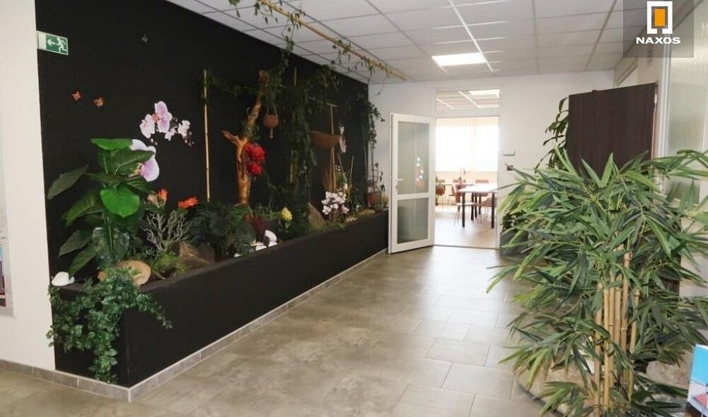 Prodej skladovacích prostor 1 946 m², Rýmařov – náhled fotky 24