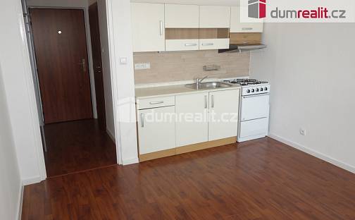 Pronájem bytu 1+1 32 m², J. Palacha, Břeclav