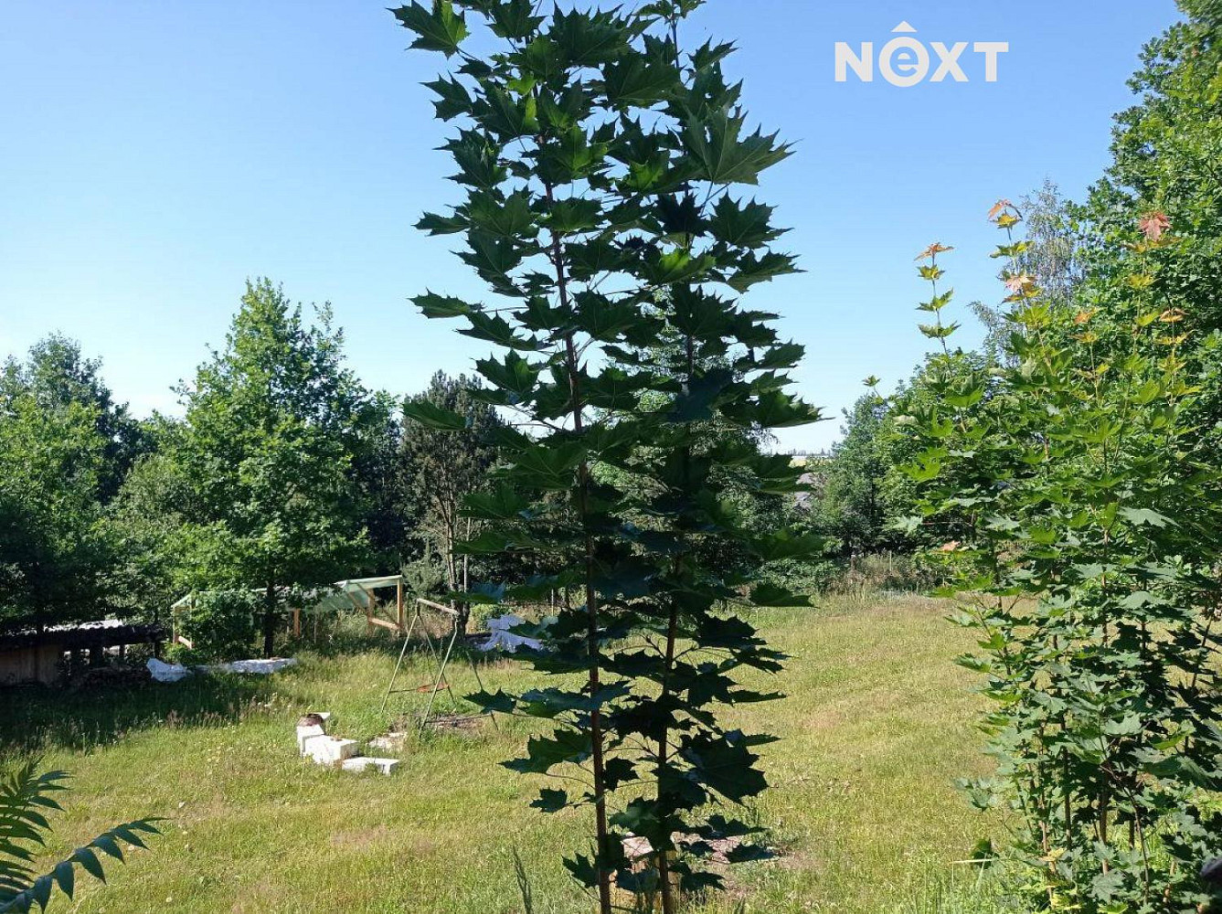 Prodej stavebního pozemku 5 357 m² – další