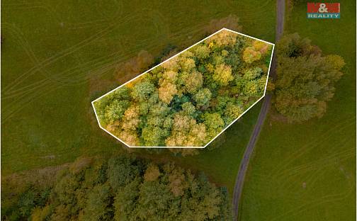 Prodej pozemku 1 966 m², Luby, okres Cheb