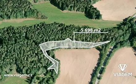 Prodej lesa 2 849 m², Čím, okres Příbram