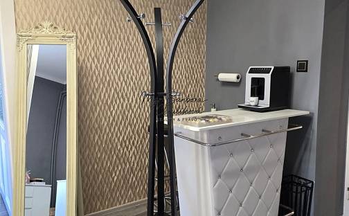 Pronájem obchodních prostor 20 m², Plzeň