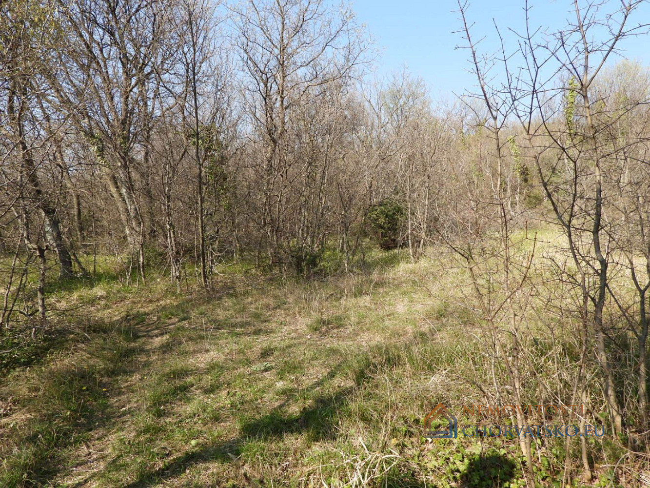 Prodej stavebního pozemku 2 361 m² - Widok 6