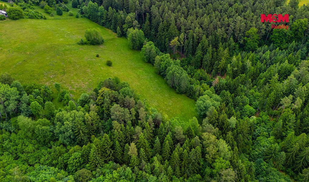 Prodej louky 12 591 m², Český Dub – náhled fotky 7