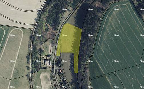 Prodej pole 15 833 m², Květná, okres Svitavy