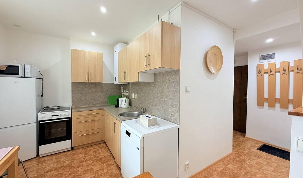 Pronájem bytu 1+1 35 m², Chomutov – náhled fotky 2