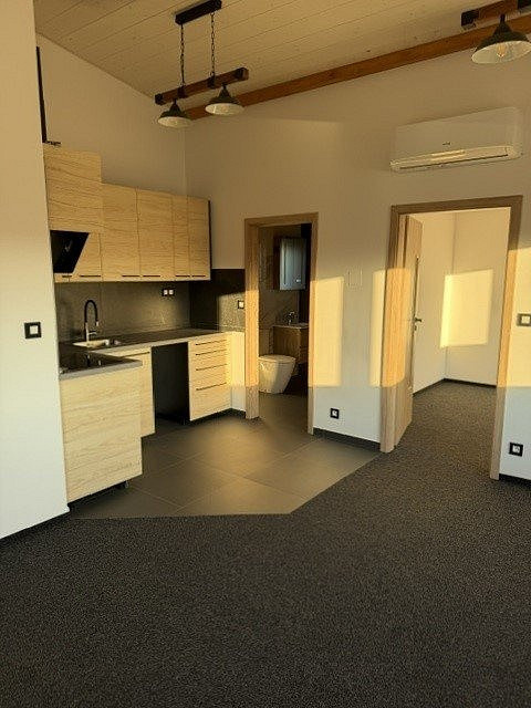 Pronájem komerčního objektu (jiného typu) 44 m²
