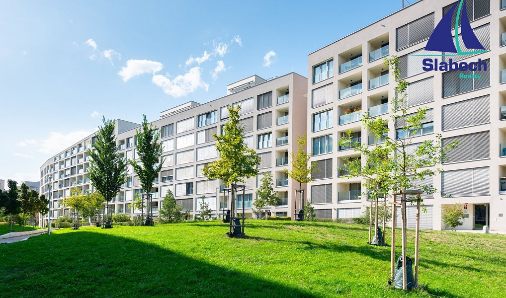 Pronájem bytu 1+kk 45 m², Praha – náhled fotky 12