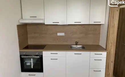 Pronájem bytu 1+1 31 m², Aloise Gavlase, Ostrava - Dubina