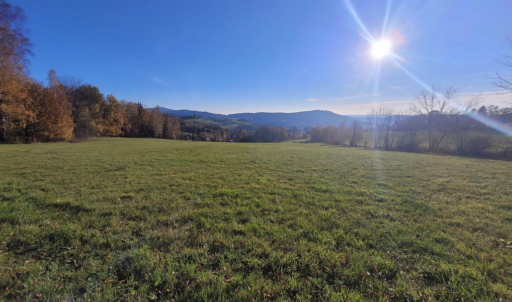 Prodej louky 6 834 m², Železný Brod – náhled fotky 13