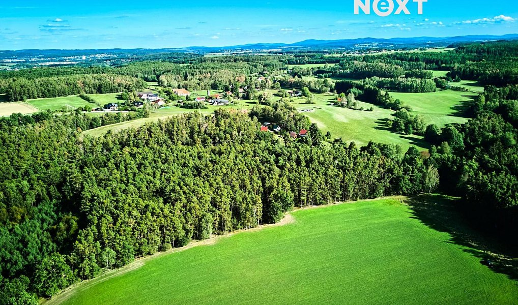 Prodej lesa 13 404 m², Hradce – náhled fotky 12