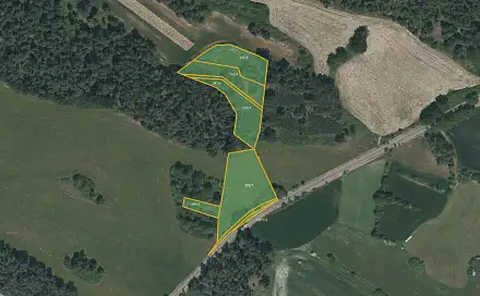 Prodej lesa 10 763 m², Horažďovice - Komušín, okres Klatovy