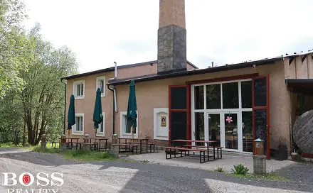Pronájem domu 350 m² s pozemkem 325 m², Konstantinovy Lázně - Okrouhlé Hradiště, okres Tachov
