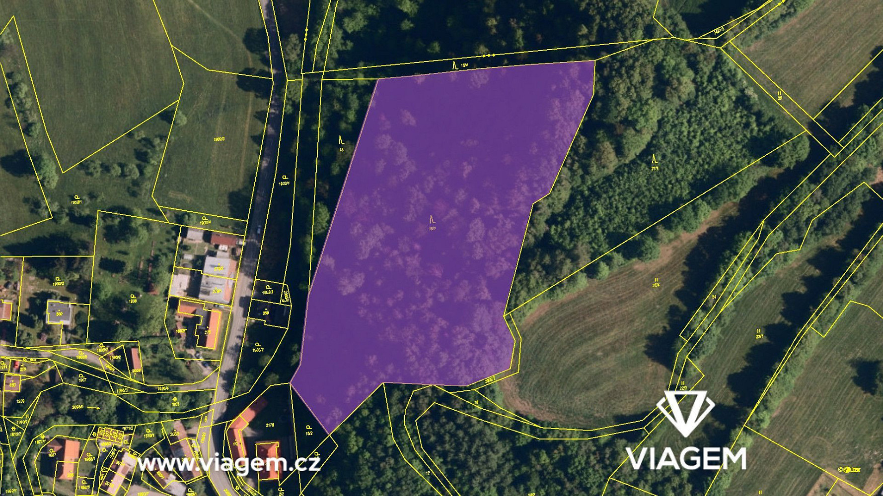 Prodej lesa 4 457 m² – fotografie 4