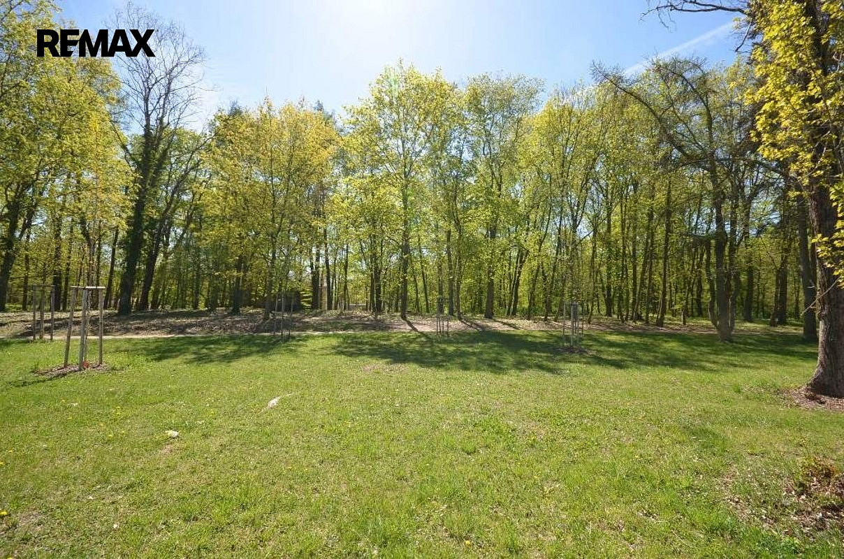 Pronájem zahrady 800 m² – fotografie 4
