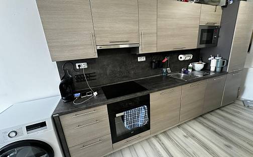 Pronájem bytu 1+kk 53 m², Rumunská, Praha 2 - Vinohrady