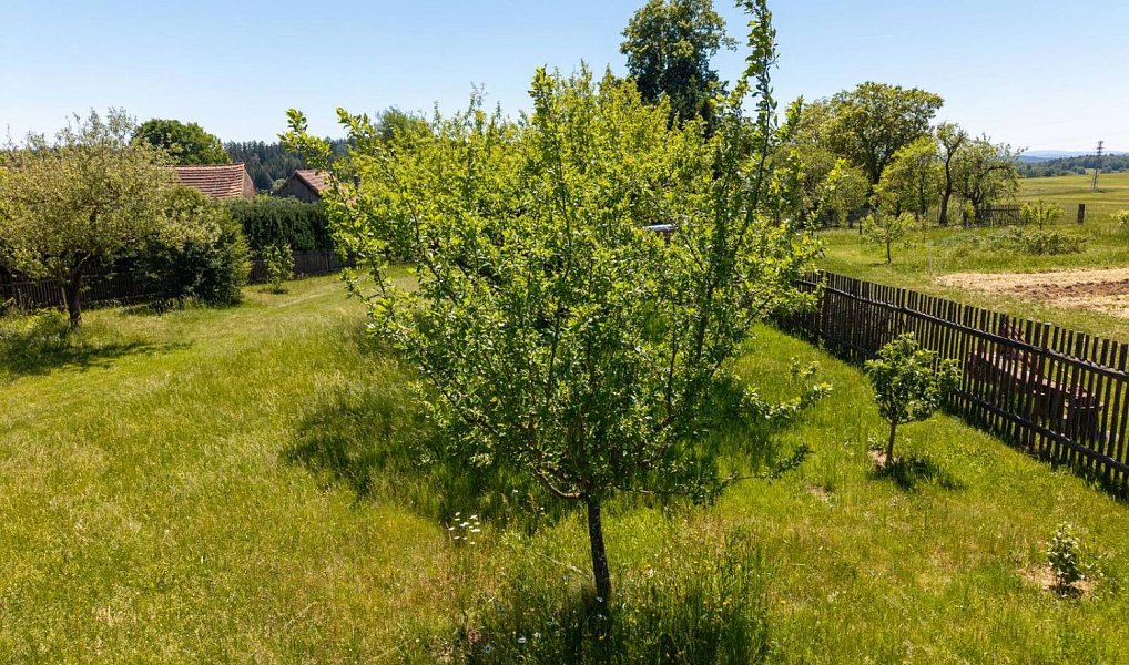 Prodej stavebního pozemku 1 515 m², Čížkov – náhled fotky 5