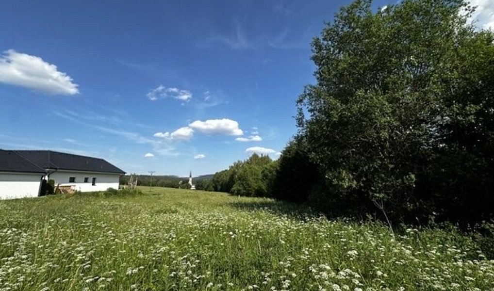 Prodej stavebního pozemku 1 161 m², Přední Výtoň – náhled fotky 8