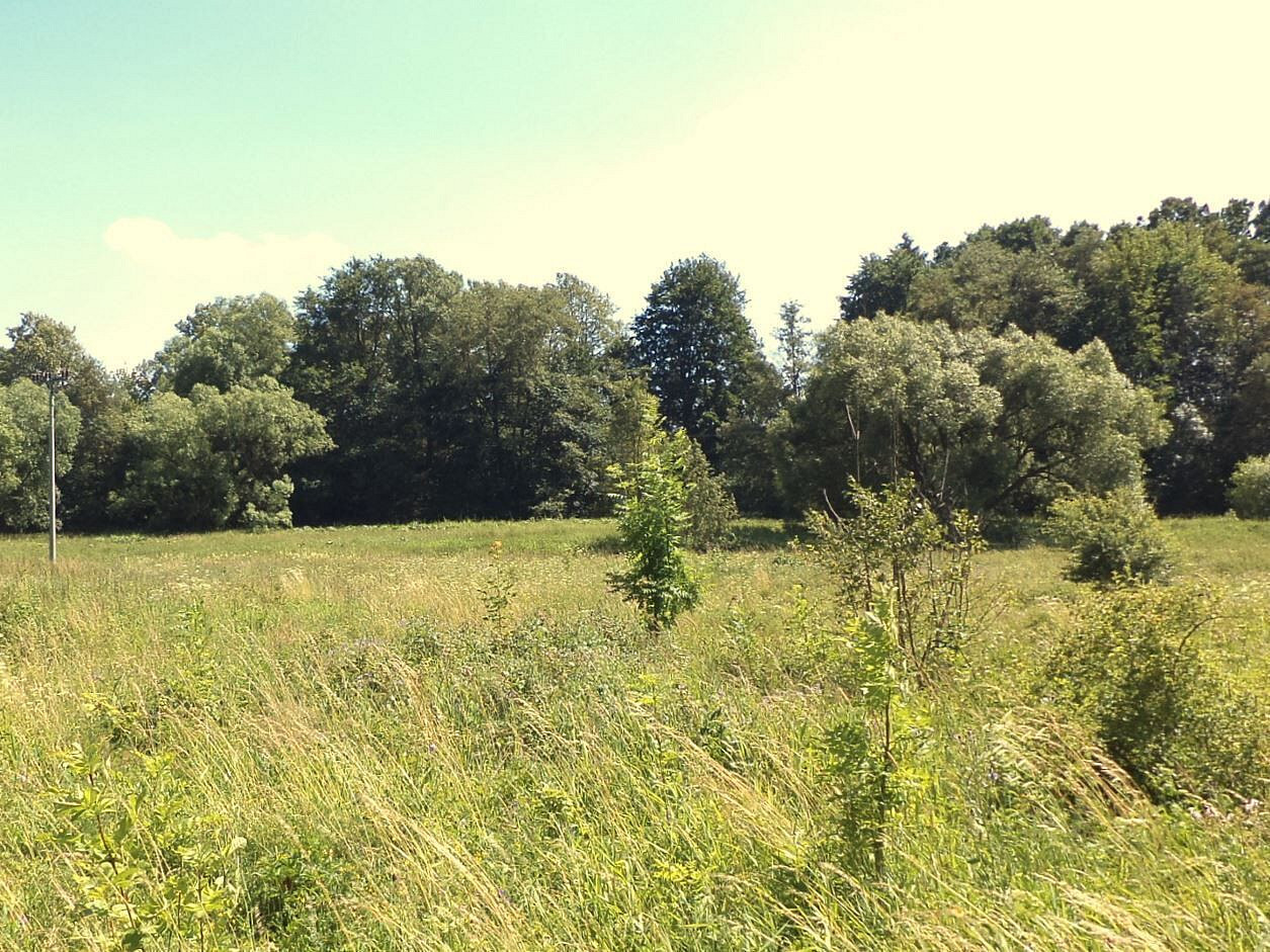 Prodej pole 28 977 m²