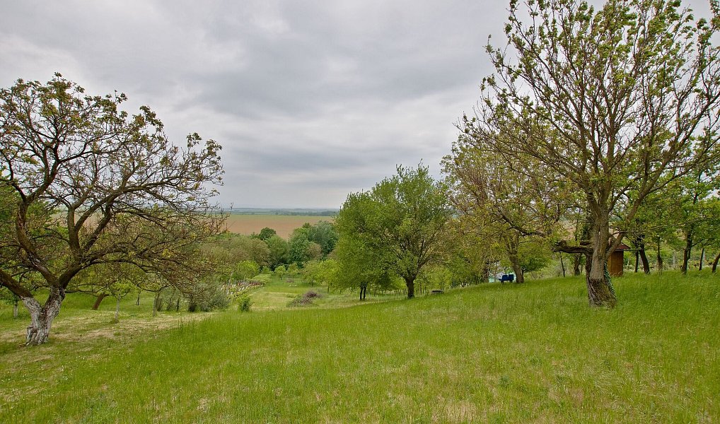 Prodej domu 35 m² s pozemkem 2 544 m², Kunovice – náhled fotky 9