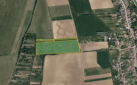 Prodej pole 38 921 m², Kostelec, okres Hodonín