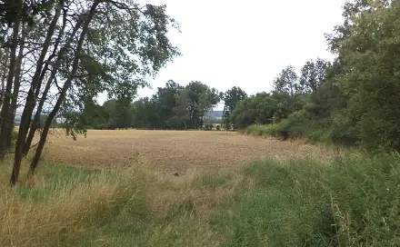 Prodej zahrady 1 100 m², Heřmanova Huť - Vlkýš, okres Plzeň-sever