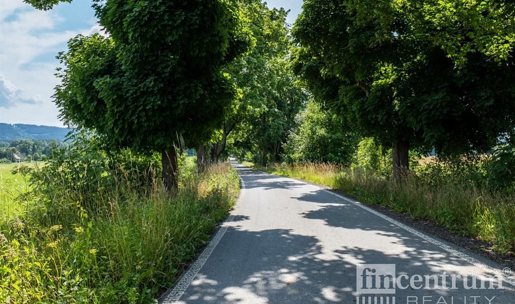 Prodej louky 53 774 m², Jindřichovice pod Smrkem – náhled fotky 4
