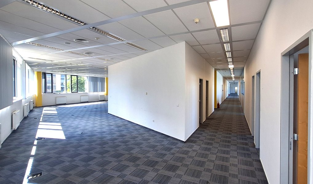 Pronájem kanceláře 500 m², Praha – náhled fotky 6