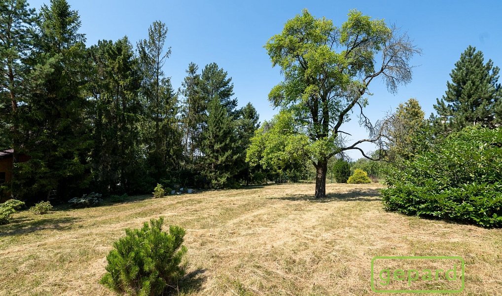 Prodej stavebního pozemku 900 m², Dolany – náhled fotky 9